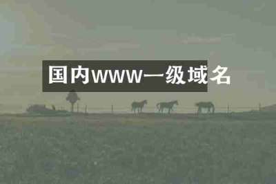 国内www一级域名