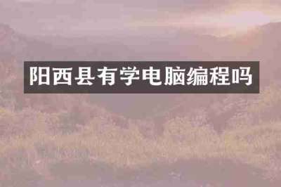 阳西县有学电脑编程吗