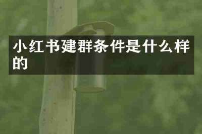 小红书建群条件是什么样的