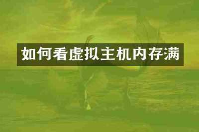 如何看虚拟主机内存满