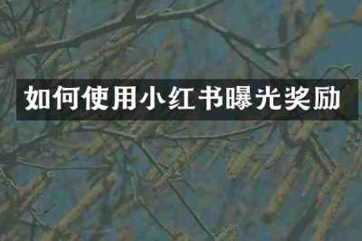 如何使用小红书曝光奖励