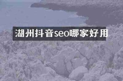 湖州抖音seo哪家好用