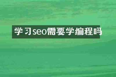 学习seo需要学编程吗