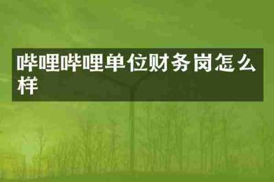 哔哩哔哩单位财务岗怎么样