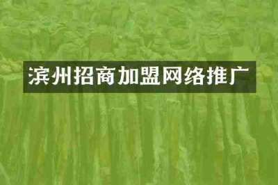 滨州招商加盟网络推广