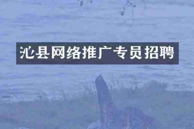 沁县网络推广专员招聘