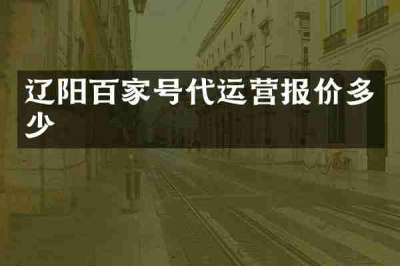 辽阳百家号代运营报价多少