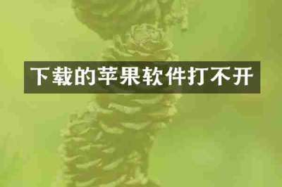 下载的苹果软件打不开