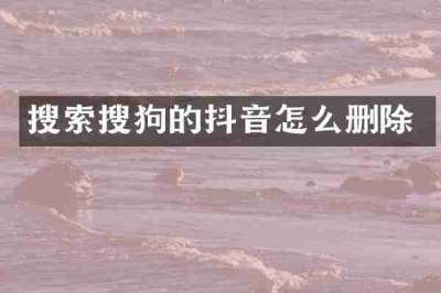 搜索搜狗的抖音怎么删除