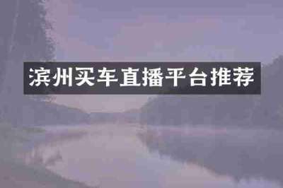 滨州买车直播平台推荐