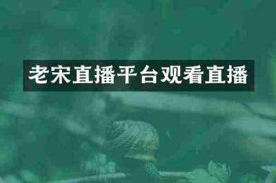 老宋直播平台观看直播