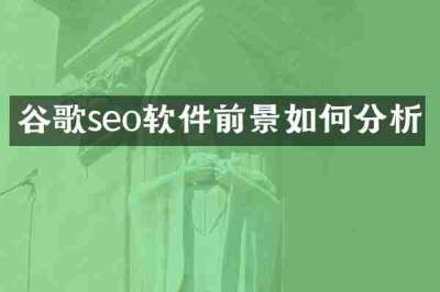 谷歌seo软件前景如何分析