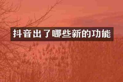 抖音出了哪些新的功能