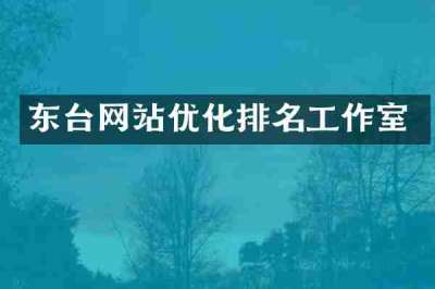 东台网站优化排名工作室