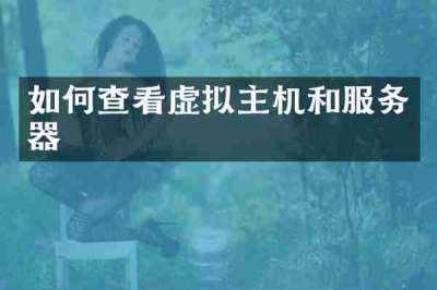 如何查看虚拟主机和服务器