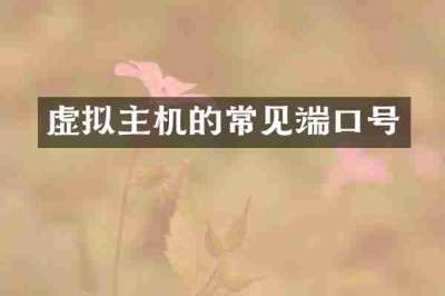 虚拟主机的常见端口号