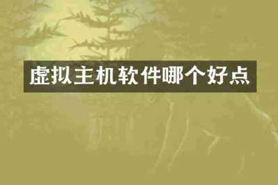 虚拟主机软件哪个好点