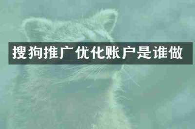 搜狗推广优化账户是谁做