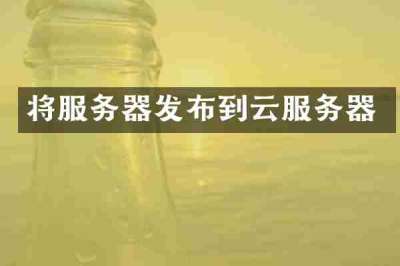 将服务器发布到云服务器
