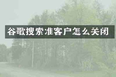 谷歌搜索准客户怎么关闭