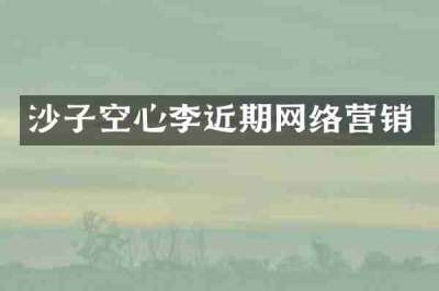 沙子空心李近期网络营销