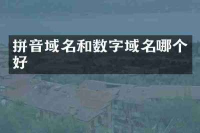 拼音域名和数字域名哪个好