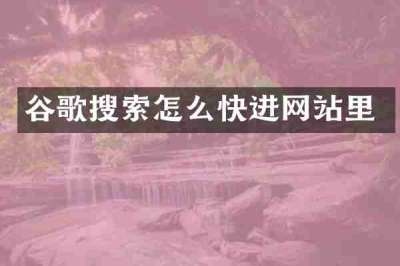 谷歌搜索怎么快进网站里