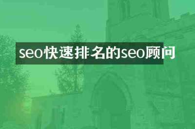 seo快速排名的seo顾问