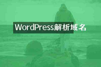 WordPress解析域名