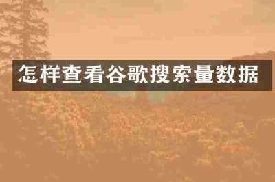 怎样查看谷歌搜索量数据