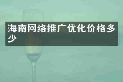 海南网络推广优化价格多少