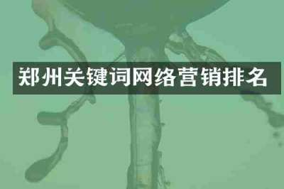 郑州关键词网络营销排名