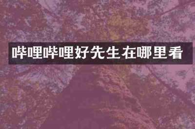 哔哩哔哩好先生在哪里看