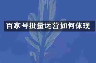 百家号批量运营如何体现