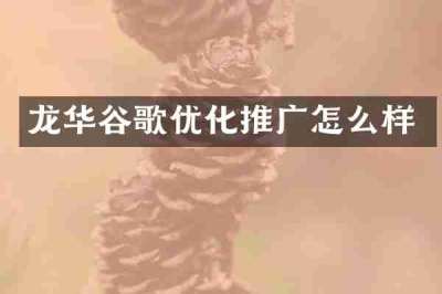 龙华谷歌优化推广怎么样