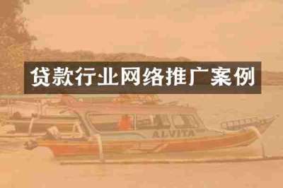 贷款行业网络推广案例