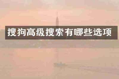 搜狗高级搜索有哪些选项