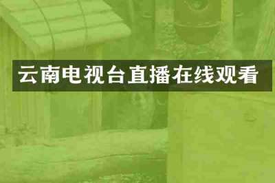 云南电视台直播在线观看
