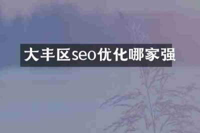 大丰区seo优化哪家强