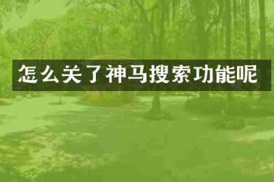 怎么关了神马搜索功能呢