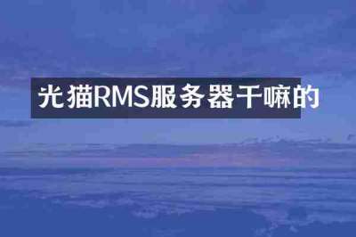 光猫RMS服务器干嘛的