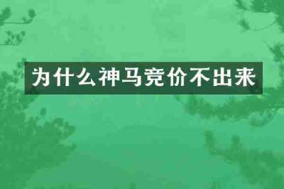 为什么神马竞价不出来