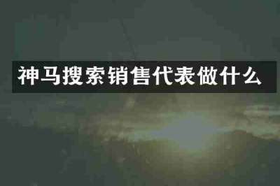 神马搜索销售代表做什么