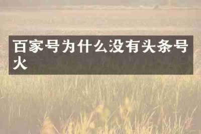 百家号为什么没有头条号火