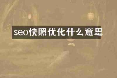 seo快照优化什么意思