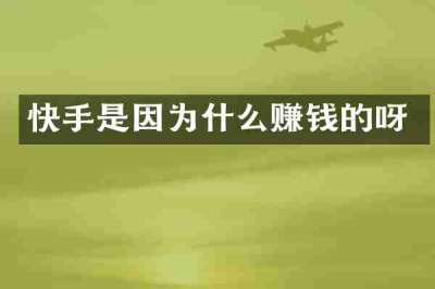 快手是因为什么赚钱的呀