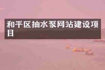和平区抽水泵网站建设项目