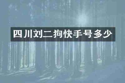 四川刘二狗快手号多少