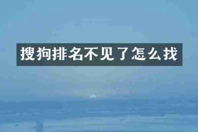 搜狗排名不见了怎么找