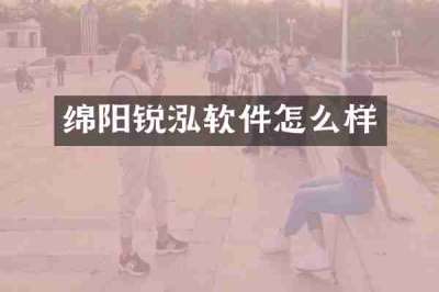 绵阳锐泓软件怎么样